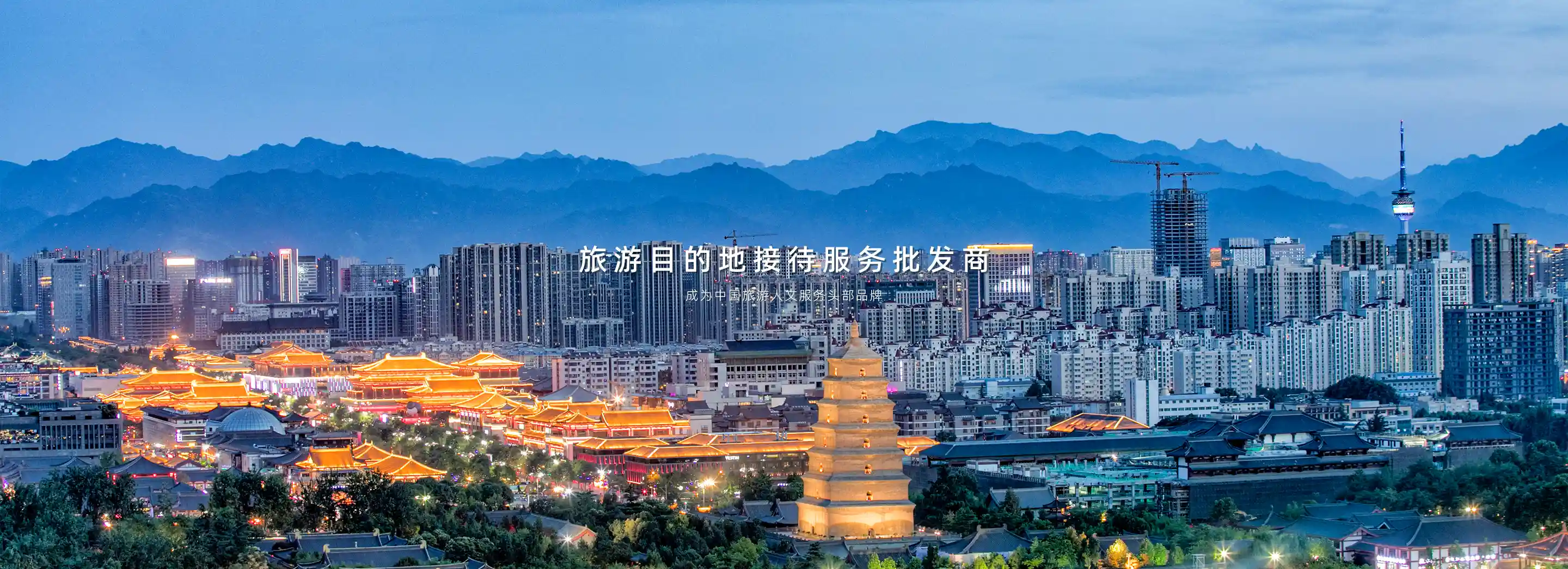 旅游目的地接待服务批发商